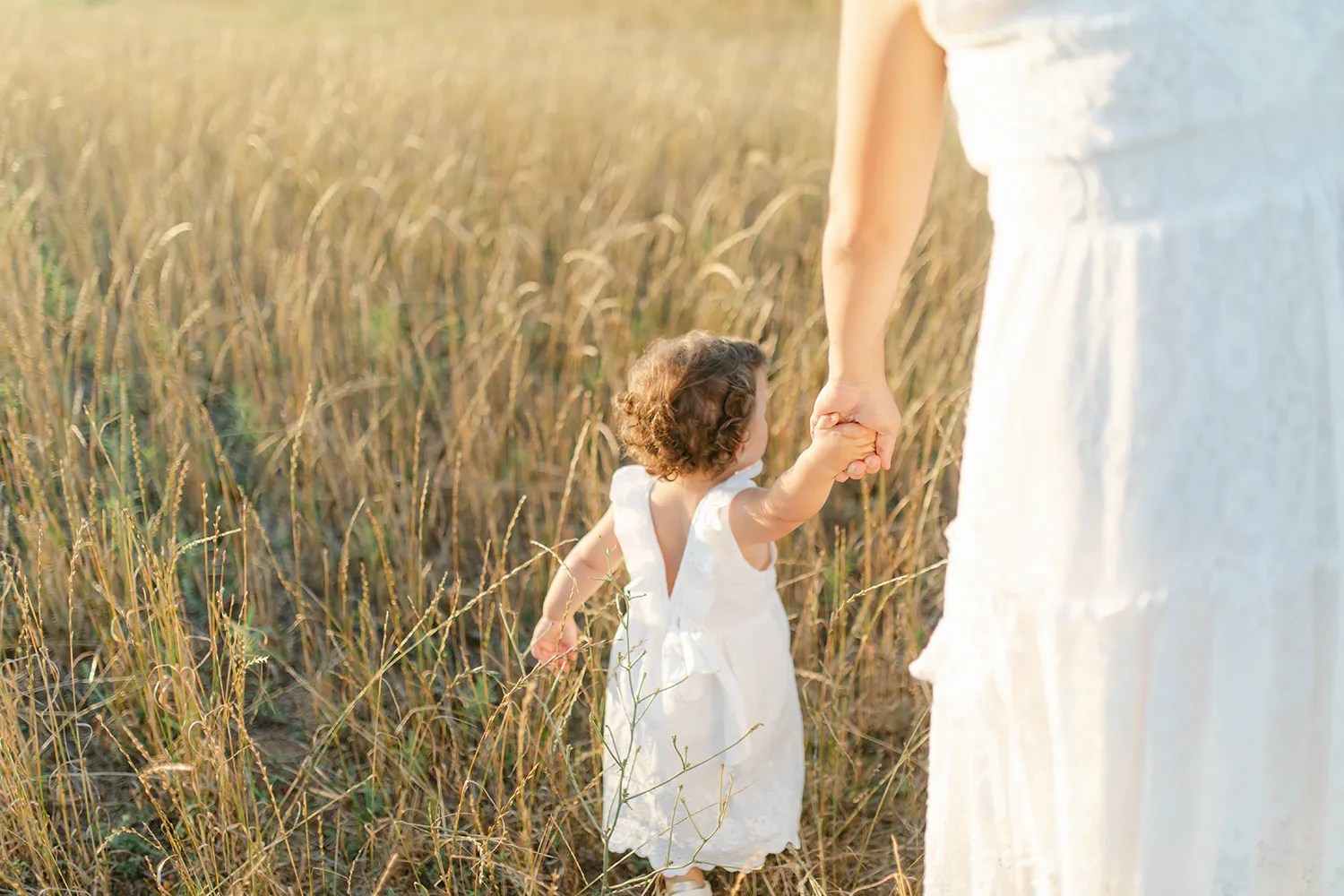 Fotografia di famiglia in un campo di grano, Calabria