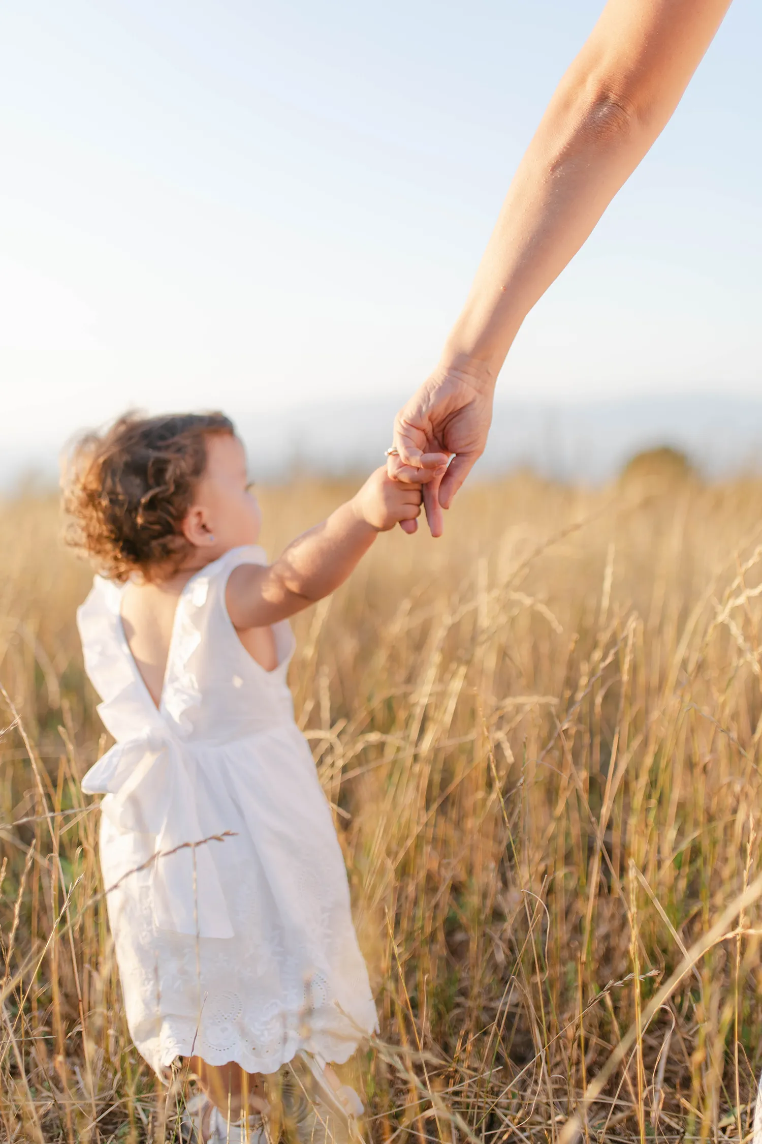 Fotografia di famiglia in un campo di grano, Calabria